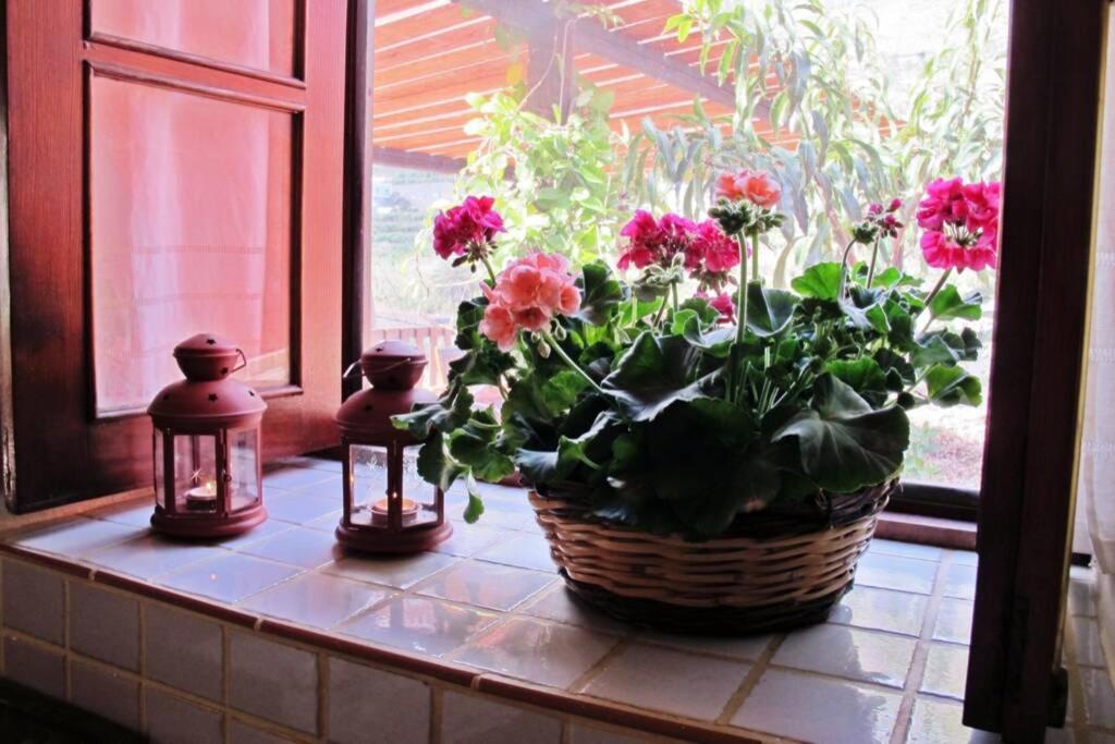 Casa Rural La Pitanga Hermigua Kültér fotó