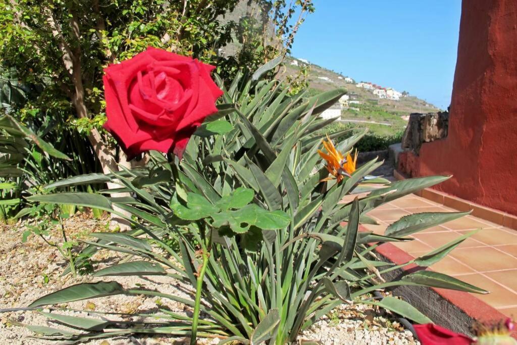 Casa Rural La Pitanga Hermigua Kültér fotó