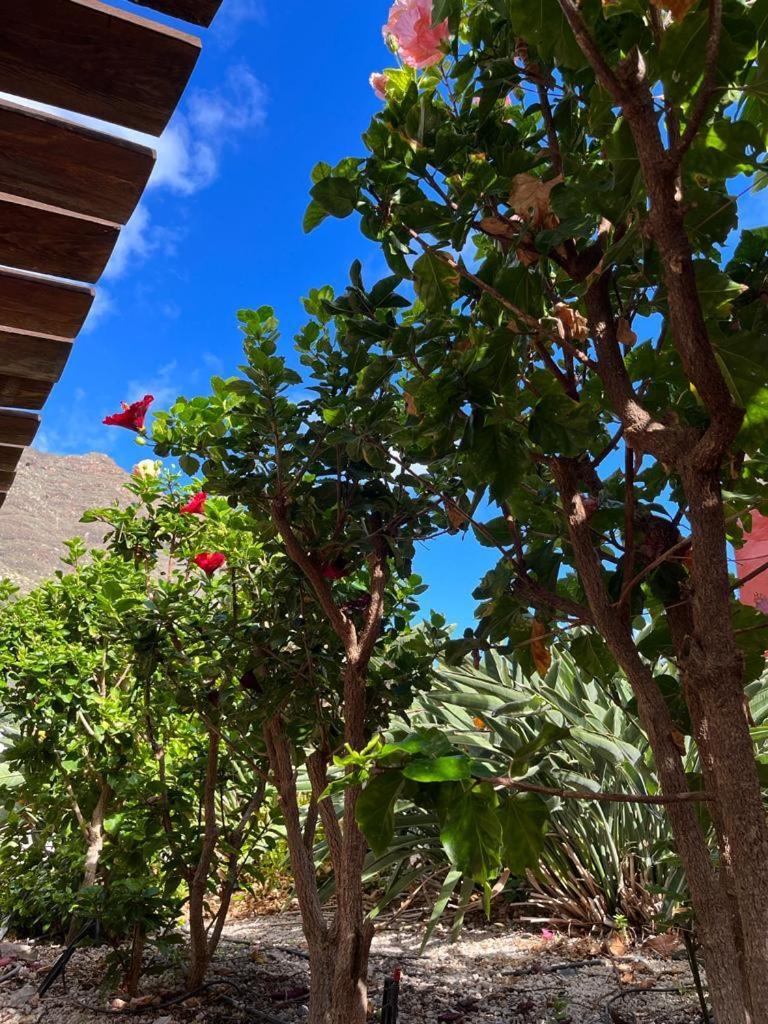Casa Rural La Pitanga Hermigua Kültér fotó