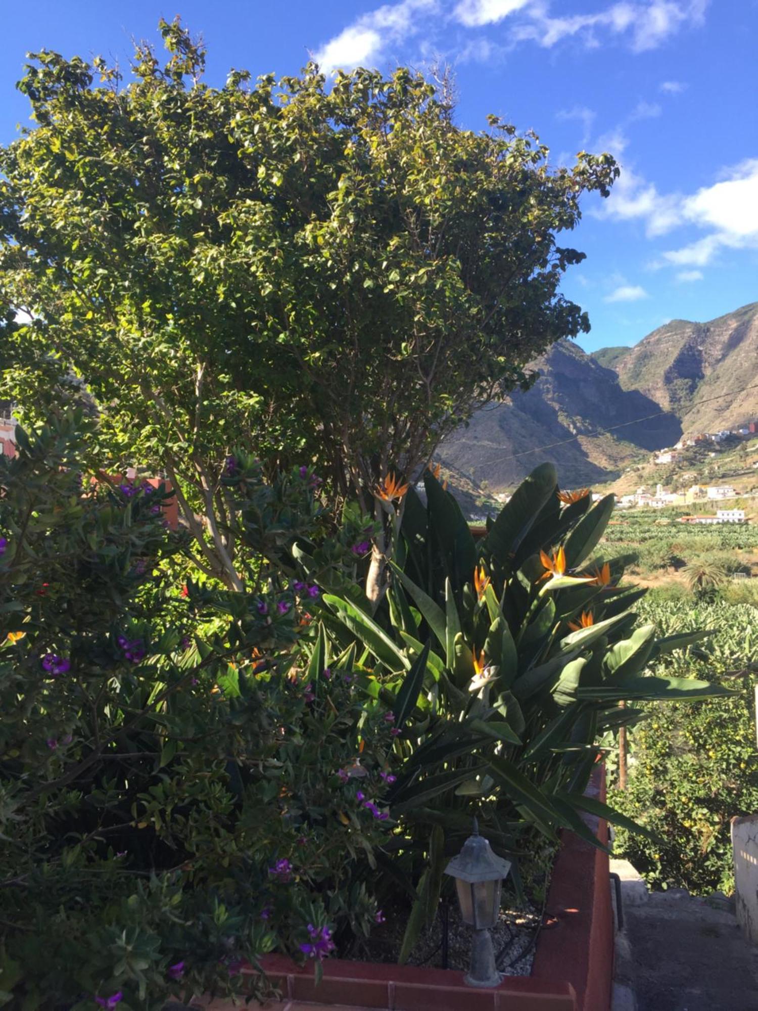 Casa Rural La Pitanga Hermigua Kültér fotó